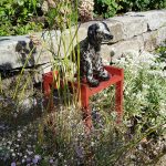 Haushund 'Flash' (Canis lupus familiaris)