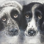 Haushunde "Flash" und 'Léon' (Canis lupus familiaris)