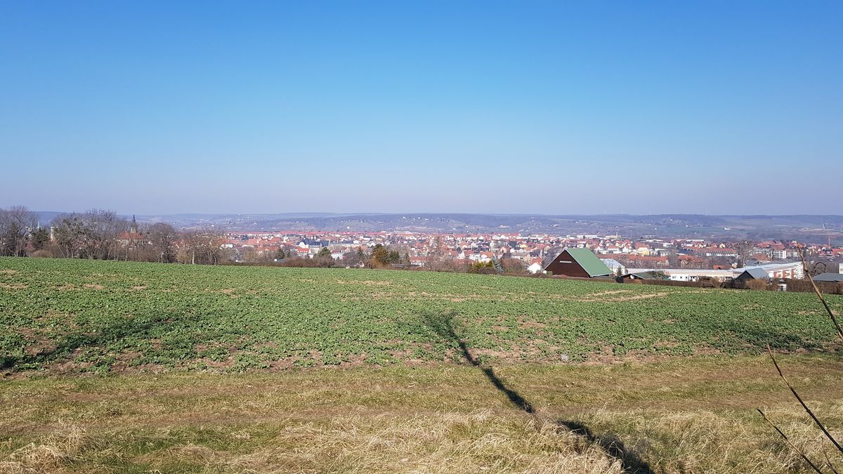 Blick über Naumburg (Saale)